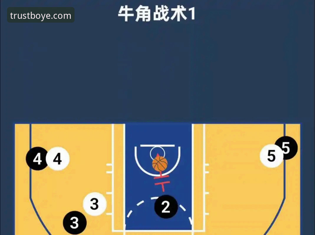 资深用户深度解析：从欧冠女排逆转大战看体育赛事的战术博弈